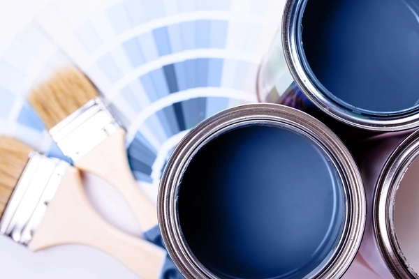 Interior Paint Colors For 2024 Laurel DE